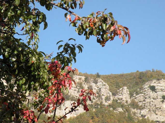 présentation de la commune de Saint-Julien-du-Verdon