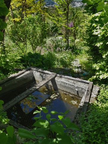 Bassin d'arrosage au bourg.