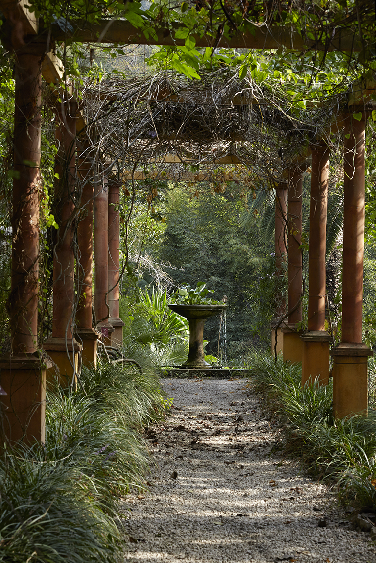 Jardin des plantes de milieu tropical sec : vue d'ensemble de la pergola.