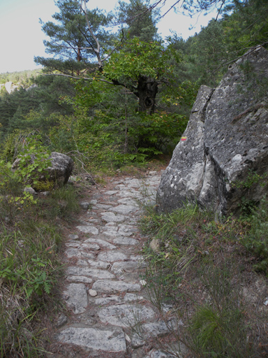 route dite Chemin d'Argenton ou Chemin romain