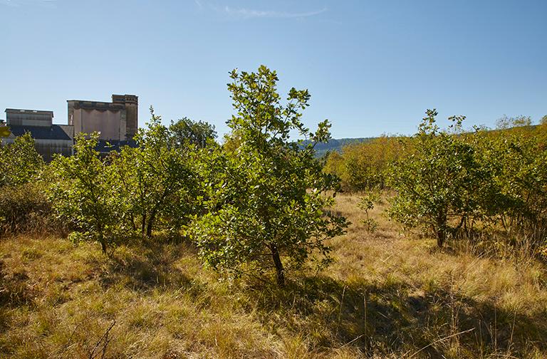 hameau de forestage de Harkis de Sisteron