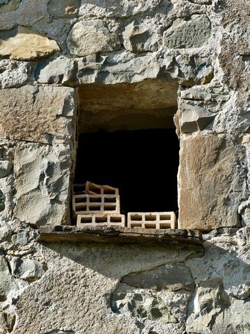 Baie de pigeonnier, « cabanon » au Serre des Costes.