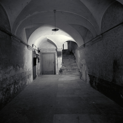 Rez-de-chaussée. Vestibule. Vue d'ensemble prise de la porte.