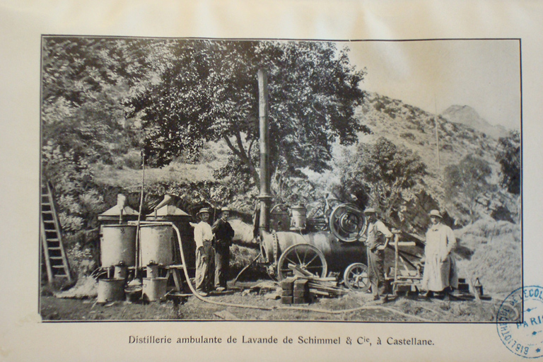 parfumeries (distilleries de lavande) du Pays Asses, Verdon, Vaïre, Var