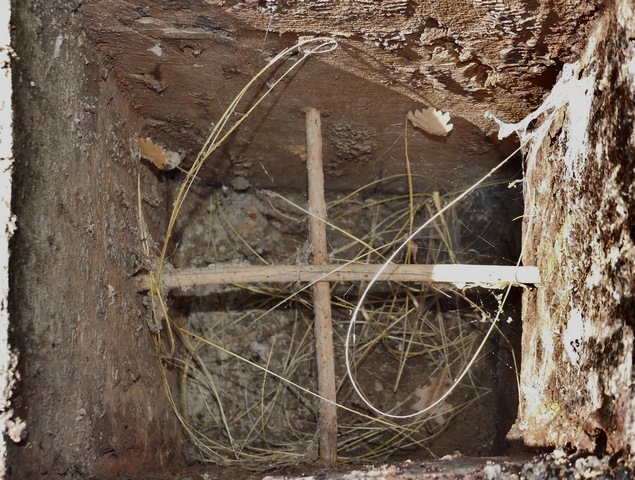 Croisillon intérieur.