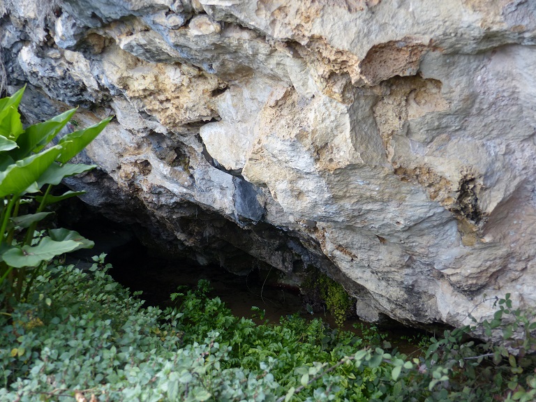 Point d'émergence supérieur de la source de la Fontaine.