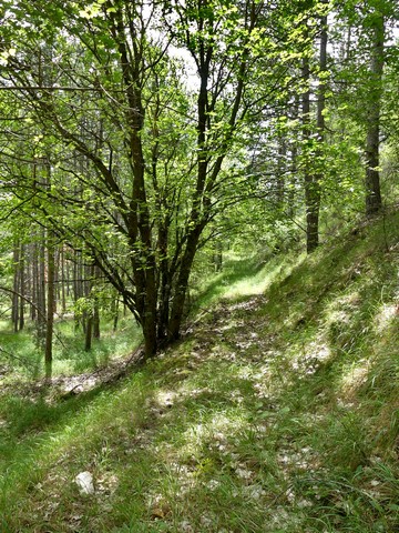 Ancien chemin muletier, quartier de la Combe.