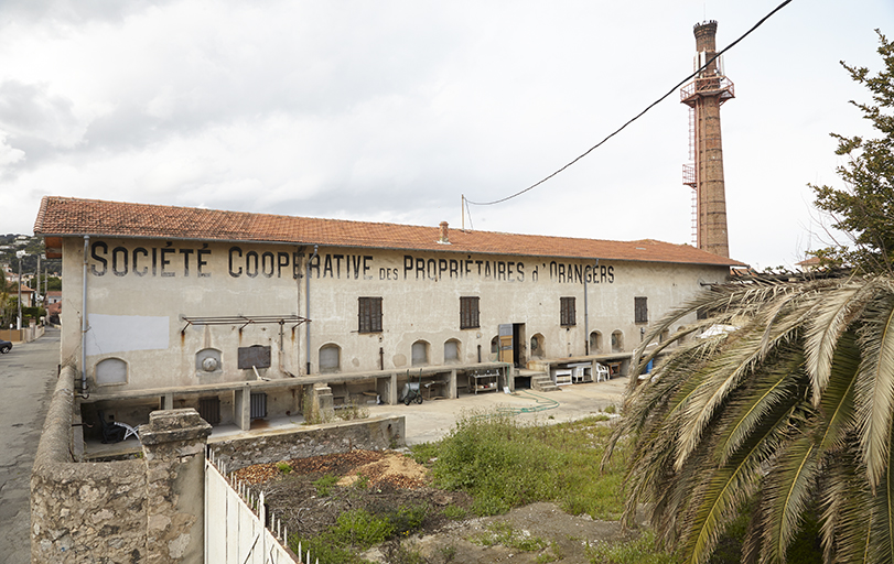 coopérative agricole et parfumerie (coopérative de distillation de plantes à parfum, distillerie de fleur d'oranger) dite Coopérative Nerolium, actuellement conserverie (coopérative de confiture d'oranges amères)