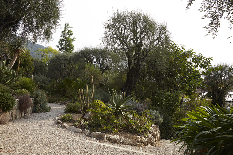 Jardin des plantes de milieu tropical sec.