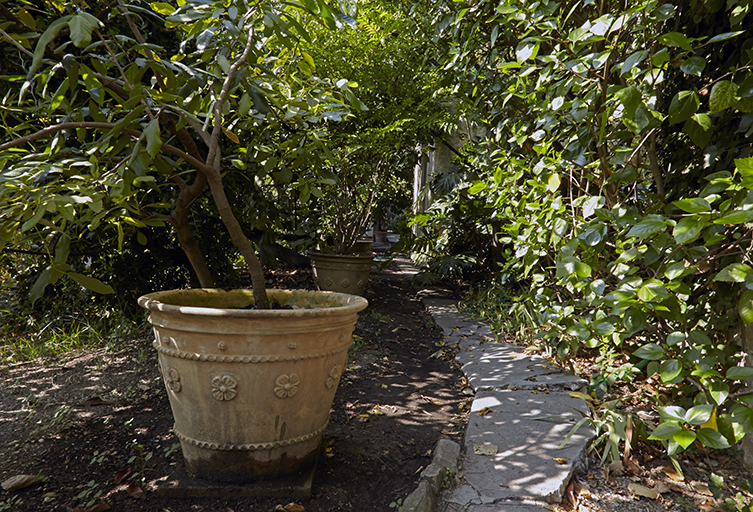 Jardin d'agrément du Clos du Peyronnet