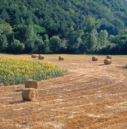 présentation de la commune de Villar-d'Arêne