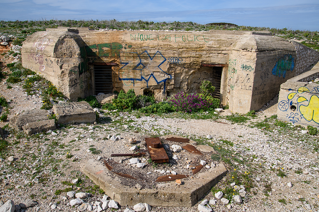 Batterie sudwall, 3eme cuve à casemate abri Regelbau M 158, pivot central du canon et façade sur cuve de la casemate