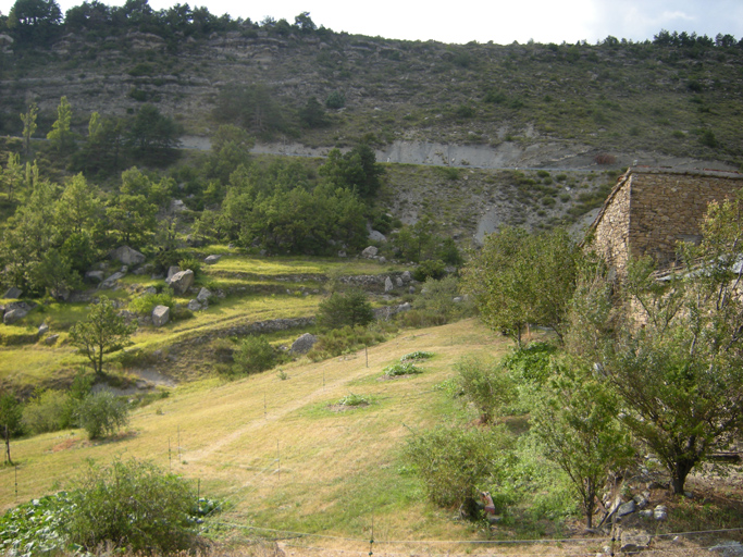 Panorama sur les terrasses de culture de Champ Long, depuis la route montant à Braux.