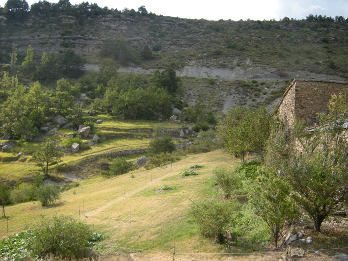 présentation de la commune de Saint-Benoît