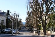 avenue dit boulevard de Cimiez