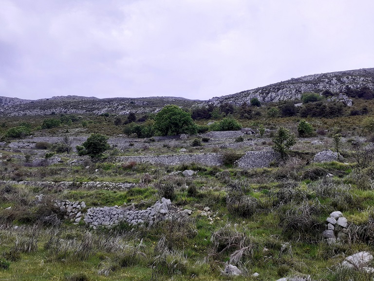 Vue d'ensemble prise du sud.