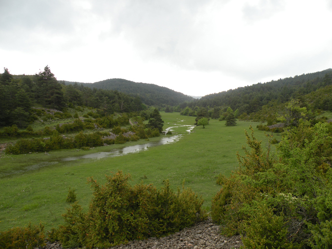 Pré de fauche en fond de vallon, lieu-dit Fouent Fromay.