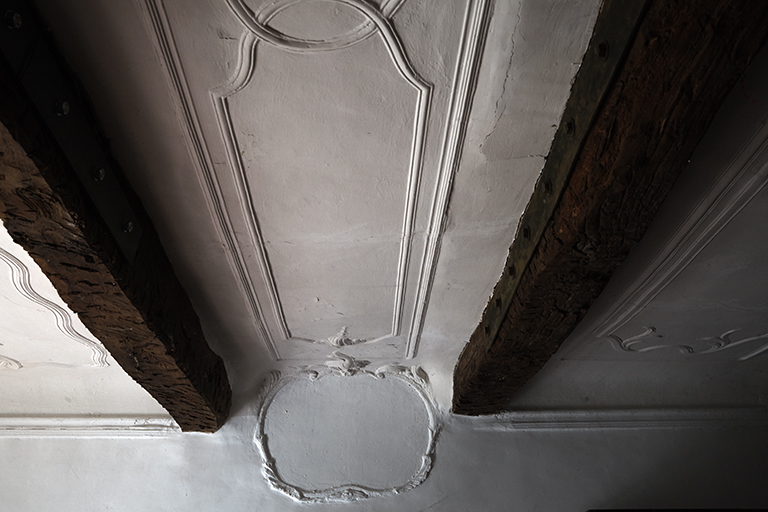 Chasteuil. Corps de logis. Détail de la moulure d'un caisson du plafond dans une pièce du rez-de-chaussée.