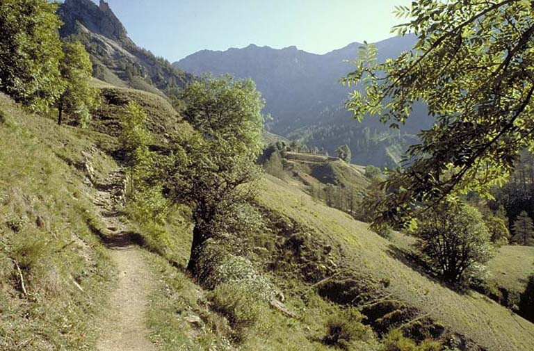 Vue de situation prise du chemin des Borels à Méollion. On n'accède à ce village, autrefois habité en permanence, que par cet étroit chemin.