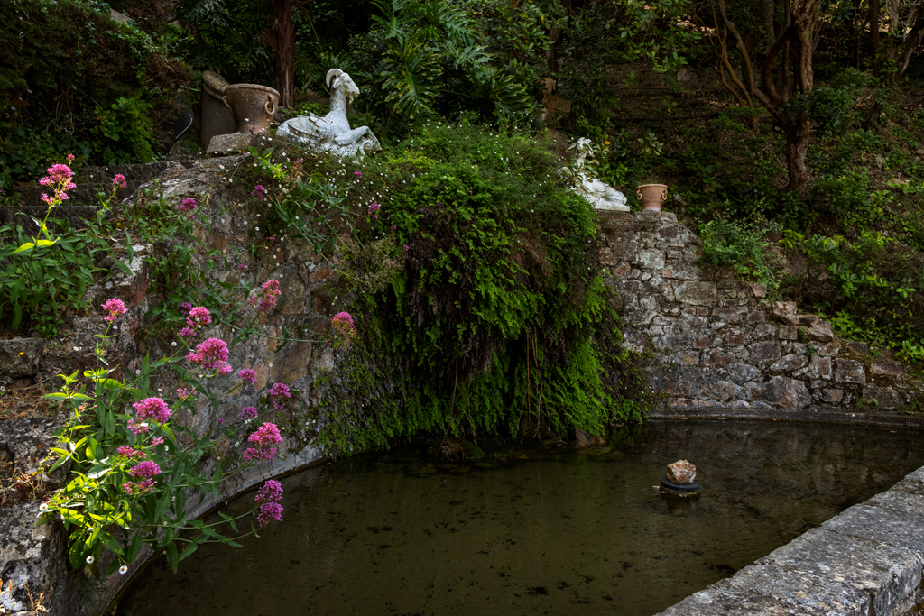 jardin d'agrément de la Villa Fiesole, puis Villa Domergue