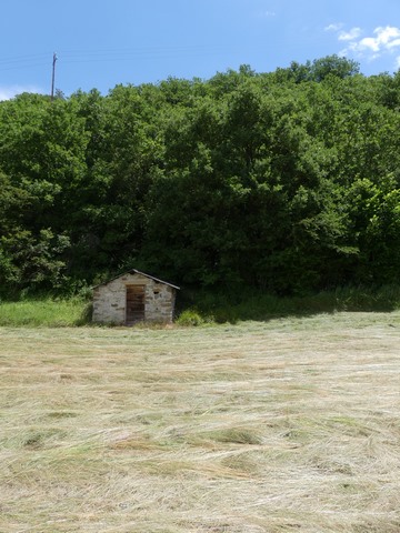 Petit « cabanon », à Pié Léger.