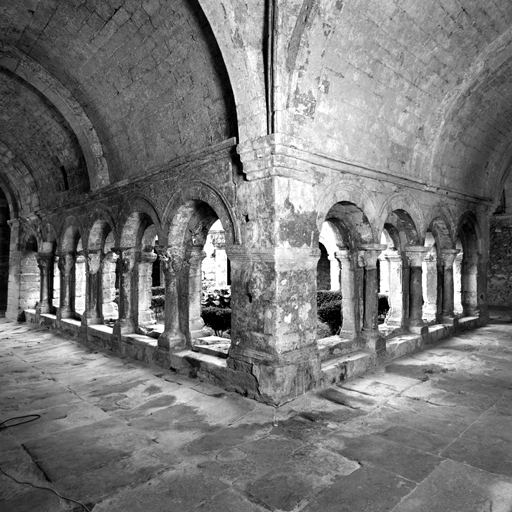 Cloître. Galeries nord et ouest vues de l'angle nord-ouest.