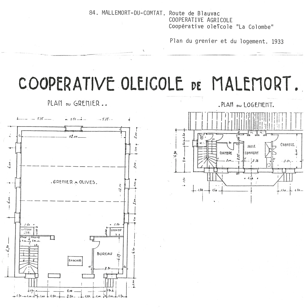 coopérative agricole (coopérative oléicole) La Colombe