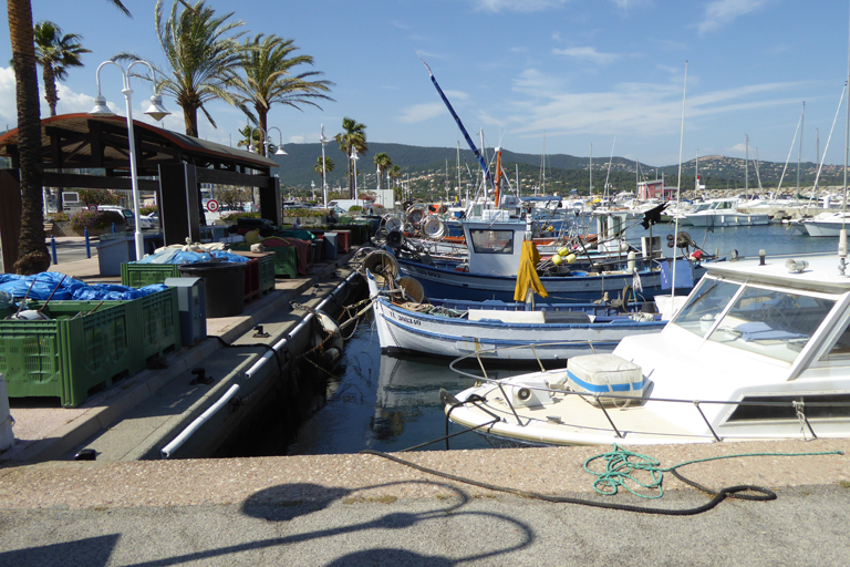 port public de Cavalaire-sur-mer