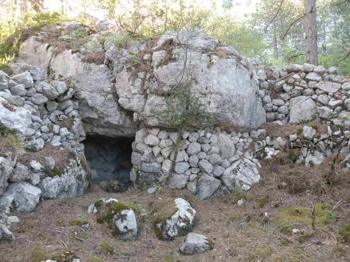 cabane