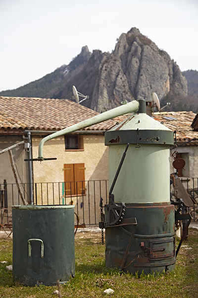 parfumeries (distilleries de lavande) du Pays Asses, Verdon, Vaïre, Var