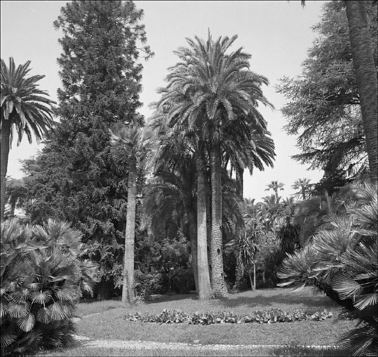 jardin d'agrément du Château Sainte-Ursule, puis Château des Tours