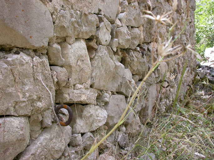 ferme du Cognas