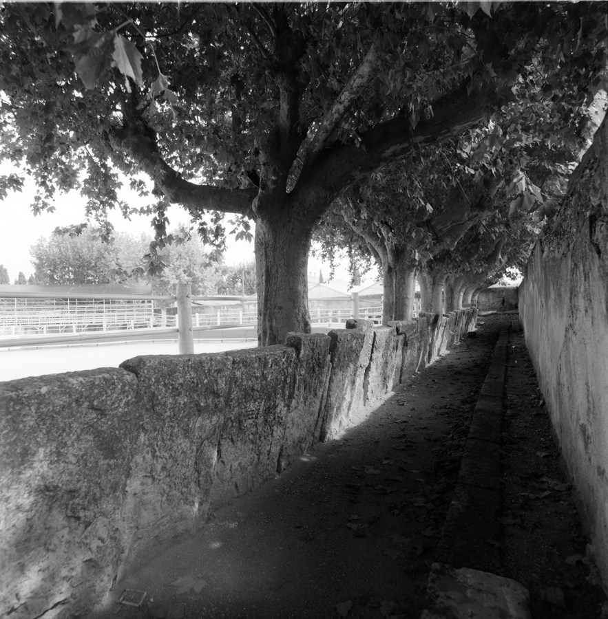 Promenoir sud avec parapet de pierres. Vue de l'ouest.