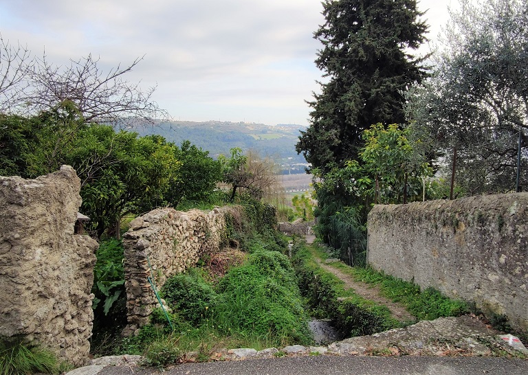 Quartier des Fontaines, vallon de Notre-Dame bordé de jardins potagers. Vue prise de l'ouest.  