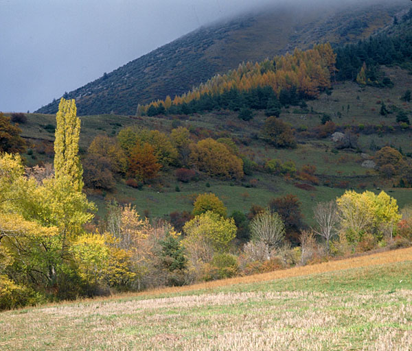 présentation du canton de Saint-Bonnet-en-Champsaur