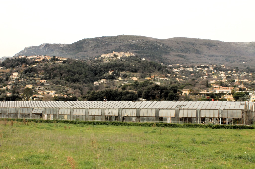 Au premier plan, terrains cultivables acquis grâce à l'endiguement de la rive droite du Var. Au fonds, le village perché de Gattières.