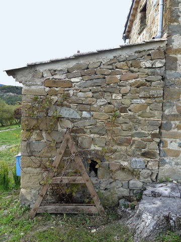 Dépendance agricole sud. Pignon est.