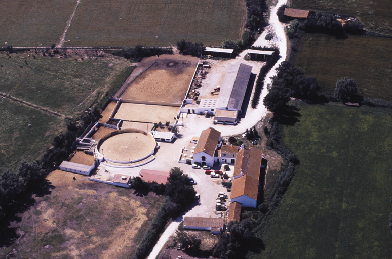 arènes du Mas de la Chassagne