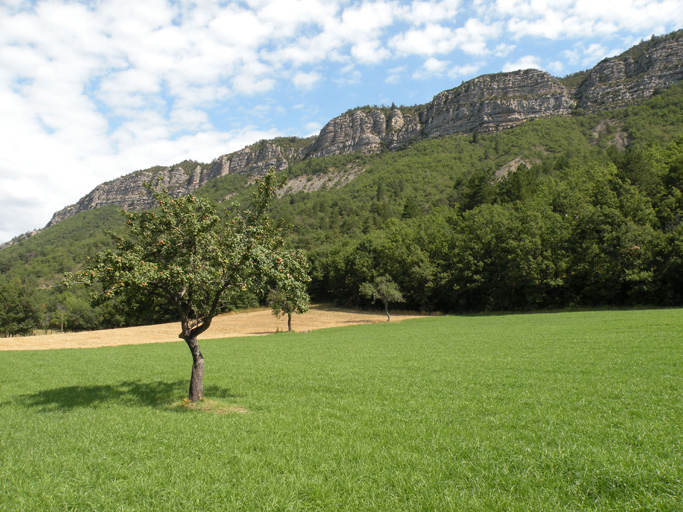 présentation de la commune de Saint-Julien-du-Verdon