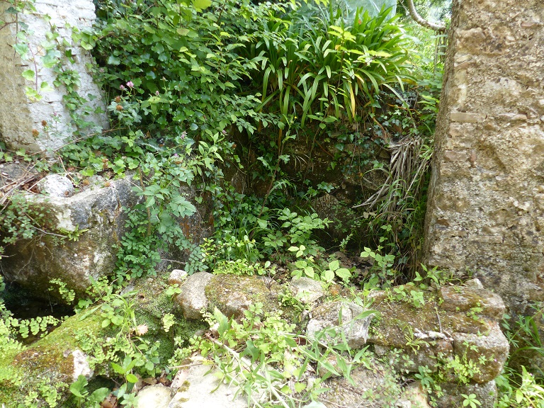 Cour au sud de la ferme. Bassin dans l'angle sud-est. 