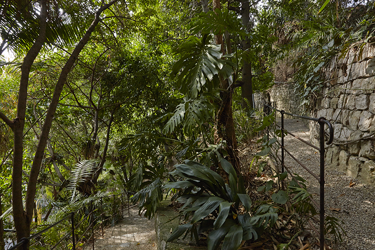 Jardin des plantes de milieu tropical forestier : murs de soutènement maçonnés et sentiers aux garde-corps métalliques.