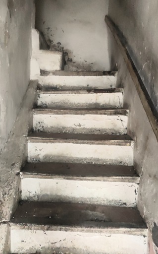 Maison (1833 B 224, 2025 B 242). Escalier dans-œuvre maçonné en équerre. 