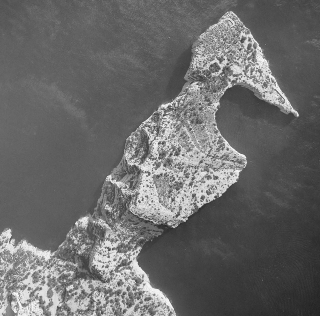 [Vue aérienne verticale du Cap Morgiou et des calanques de Morgiou et Sugiton], 1952.