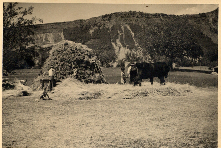 présentation de la commune de Saint-Benoît