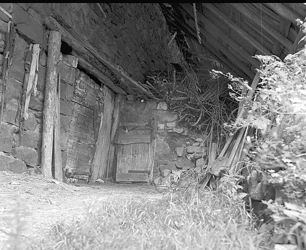 La cave à fromage ou à légumes.