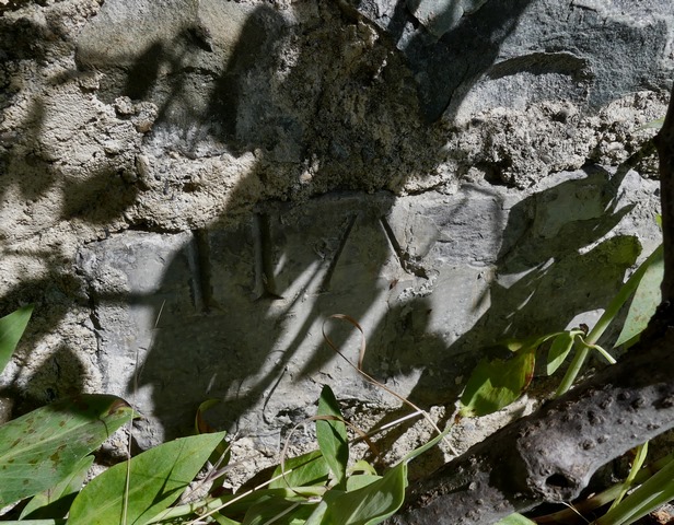 Mur nord, élément lapidaire en pierre de taille calcaire, en remploi, avec chiffres romains gravés (CVII).