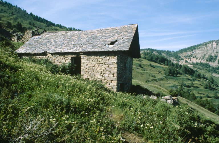 ferme (chalet d'estive)