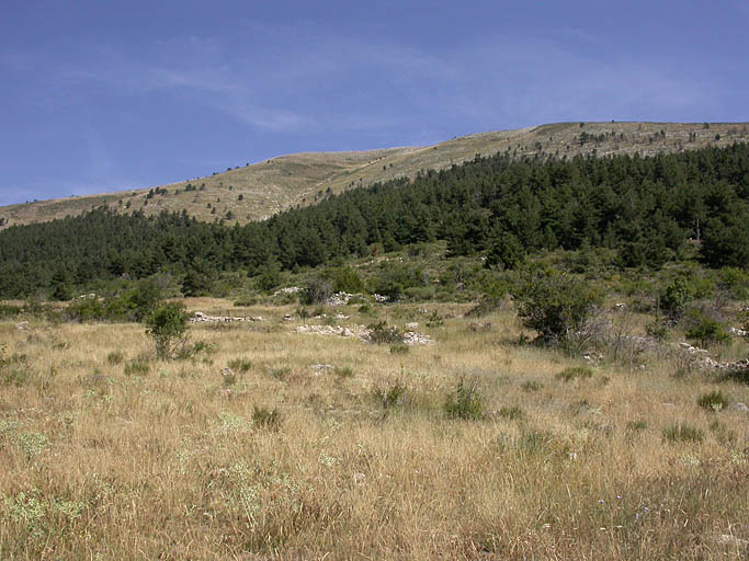 présentation de la commune de Castellet-lès-Sausses