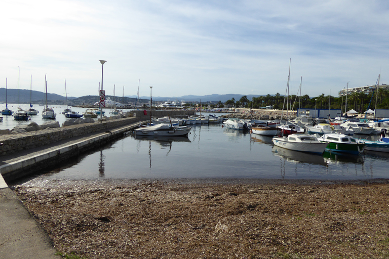 Port de la Croisette dit port Palm Beach