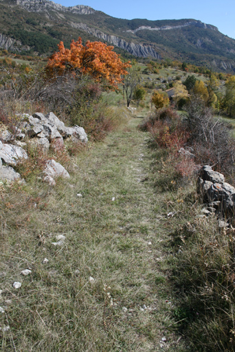 Chaudon-Norante. Ancien chemin de Digne à Barrême reliant l'ancien village de Chaudon à l'écart de la Bourgea. Il a été remplacé par l'actuelle route départementale 20.